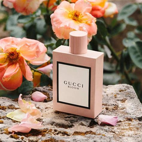 mua gucci bloom|gucci hoa bloom hồng.